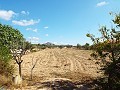 Grande maison de campagne, à distance de marche de la ville in Pinoso Villas