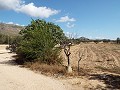 Grande maison de campagne, à distance de marche de la ville in Pinoso Villas