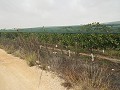 Terrain près d'Alenda Golf in Pinoso Villas