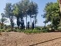 Country House with a pool and outbuildings in Pinoso Villas