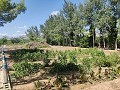 Country House with a pool and outbuildings in Pinoso Villas