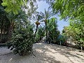 Country House with a pool and outbuildings in Pinoso Villas