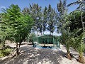 Country House with a pool and outbuildings in Pinoso Villas