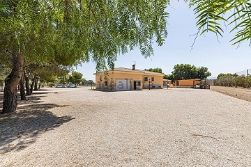 Maison individuelle à vendre à Yecla