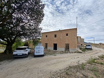 Großes historisches Haus und Bodega in Pinoso