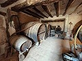 Groot historisch huis en bodega in Pinoso in Pinoso Villas