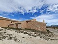 Groot historisch huis en bodega in Pinoso in Pinoso Villas