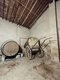 Groot historisch huis en bodega in Pinoso in Pinoso Villas