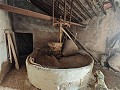 Groot historisch huis en bodega in Pinoso in Pinoso Villas