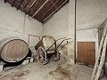 Groot historisch huis en bodega in Pinoso in Pinoso Villas