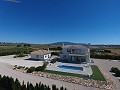 Stunning villa with swimming pool and guest house in Pinoso in Pinoso Villas