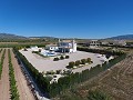 Stunning villa with swimming pool and guest house in Pinoso in Pinoso Villas