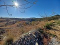 Amplia Casa de 6 Dormitorios en Peña Zafra Baja in Pinoso Villas