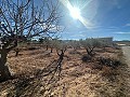 Geen Bouwgrond in Rodriguillo, Pinoso in Pinoso Villas