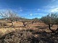 Geen Bouwgrond in Rodriguillo, Pinoso in Pinoso Villas