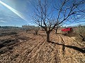 Geen Bouwgrond in Rodriguillo, Pinoso in Pinoso Villas