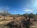 Geen Bouwgrond in Rodriguillo, Pinoso in Pinoso Villas