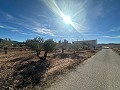 Geen Bouwgrond in Rodriguillo, Pinoso in Pinoso Villas