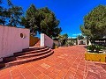 Mansion between Monóvar and Novelda in Pinoso Villas