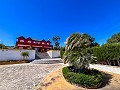 Mansion between Monóvar and Novelda in Pinoso Villas