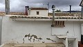 6 Bed 4 Bath Townhouse in Pinoso Villas