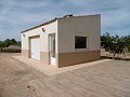 Spectaculaire villa de 3 chambres et 2 salles de bain avec piscine in Pinoso Villas