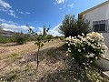 3 Bedroom 2 Bathroom Country Home in Pinoso Villas