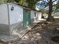 Villa de 4 chambres avec piscine dans un cadre naturel. in Pinoso Villas