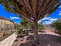 Magnifica villa con piscina en Hondon De Los Frailes in Pinoso Villas