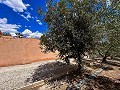 Magnifica villa con piscina en Hondon De Los Frailes in Pinoso Villas