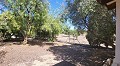 Belle Villa De Campagne Avec Piscine Et Terrain in Pinoso Villas