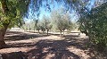 Belle Villa De Campagne Avec Piscine Et Terrain in Pinoso Villas