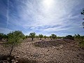 Magnifique terrain avec potentiel de rénovation à Almansa in Pinoso Villas