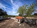 Magnifique terrain avec potentiel de rénovation à Almansa in Pinoso Villas