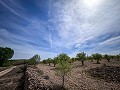 Magnifique terrain avec potentiel de rénovation à Almansa in Pinoso Villas