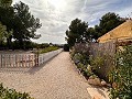 Entreprise de camping avec une maison de 4 chambres in Pinoso Villas