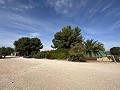 Private Campsite with a 4 Bed House in Pinoso Villas