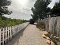 Entreprise de camping avec une maison de 4 chambres in Pinoso Villas