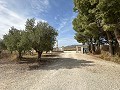 Private Campsite with a 4 Bed House in Pinoso Villas