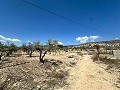 Charmante maison de campagne à rénover à Monóvar in Pinoso Villas