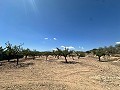 Encantadora casa de campo para reformar en Monóvar in Pinoso Villas