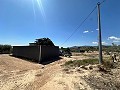 Charmante maison de campagne à rénover à Monóvar in Pinoso Villas