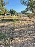 Terreno en Úbeda in Pinoso Villas