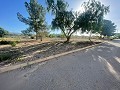 Land in Ubeda in Pinoso Villas