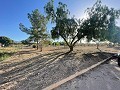 Grundstück in Ubeda in Pinoso Villas