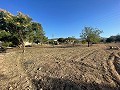 Land in Ubeda in Pinoso Villas