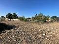 Terreno en Úbeda in Pinoso Villas