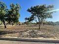 Land in Ubeda in Pinoso Villas