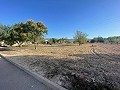 Land in Ubeda in Pinoso Villas