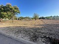 Land in Ubeda in Pinoso Villas